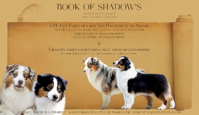 Book Of Shadow's - Les bébés de Fire et Louchy sont là ! 